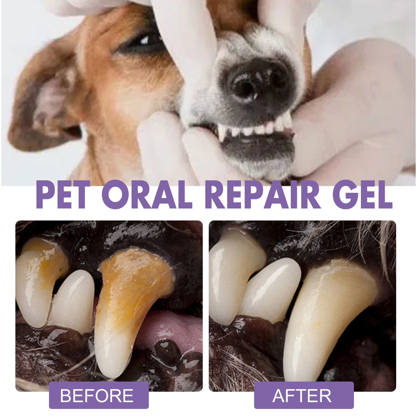 Pet Oral Repair Gel Puppy Tart - Teeth Whitening Gels Used By Dentists recensie en prijs