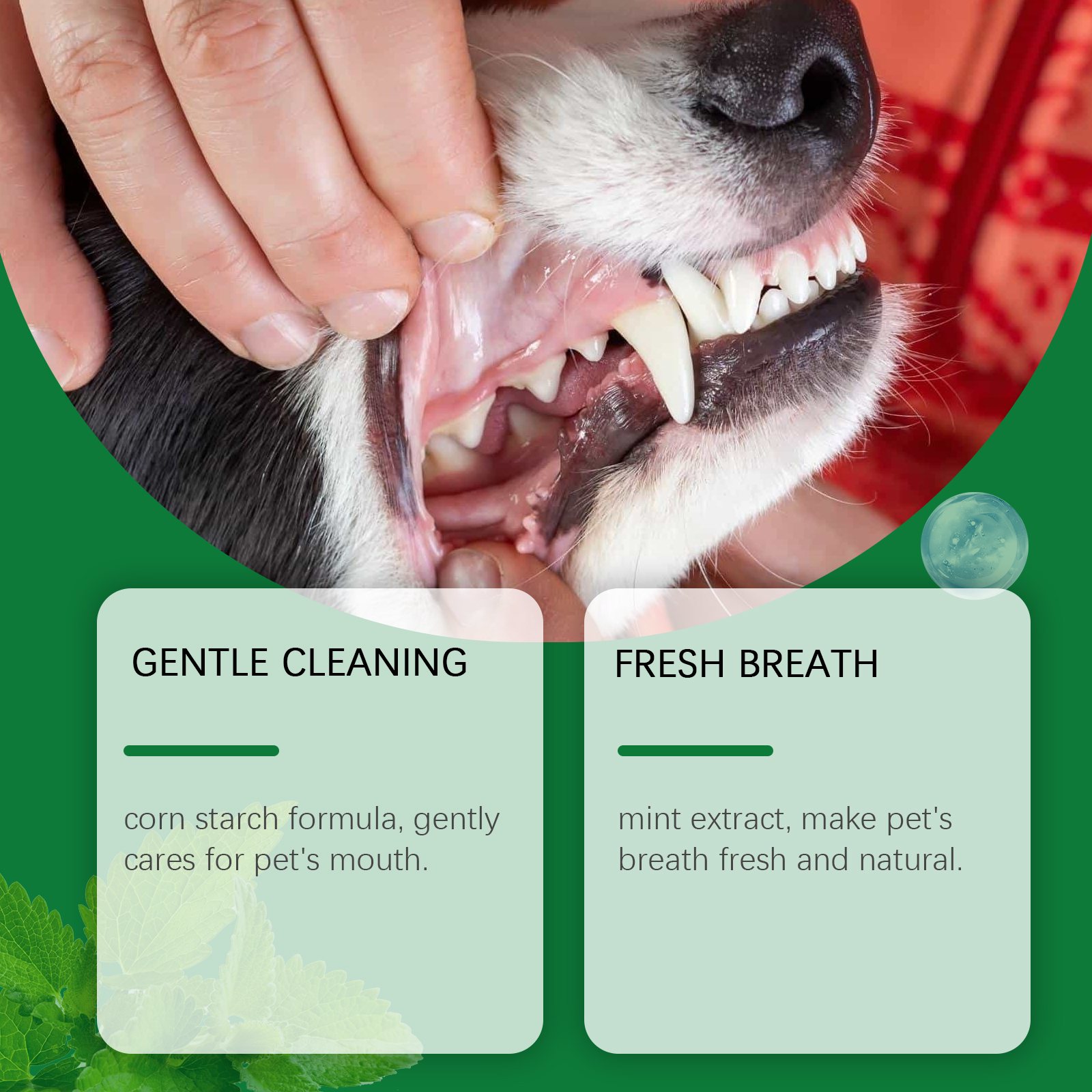 Pet Teeth Cleaning Powder Redu - Teeth Whitening From Home recensie en prijs
