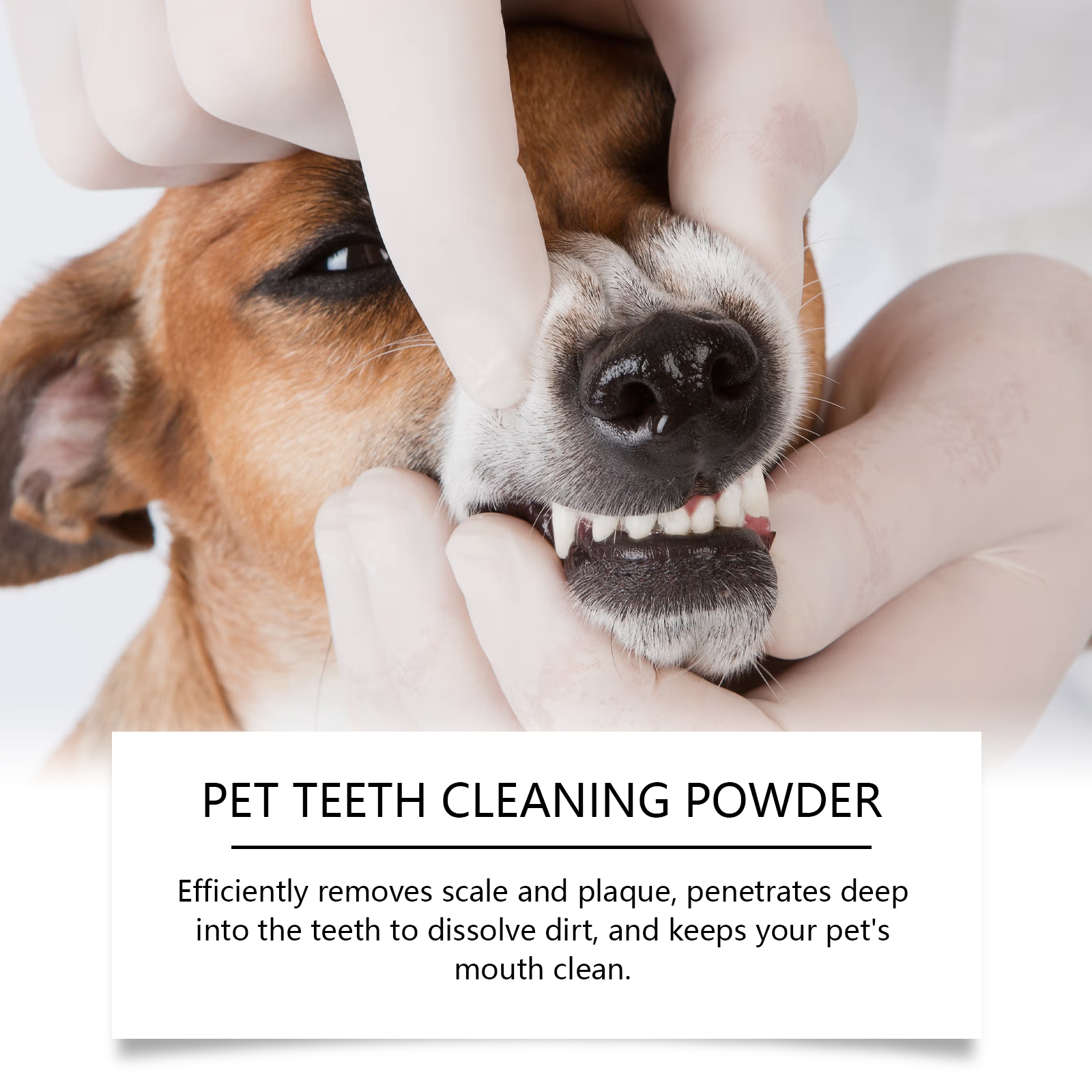 Pet Teeth Cleaning Powder Redu - Teeth Whitening From Home recensie en prijs